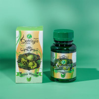 Batrisyia Feminim Manjaan