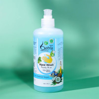 Hand Wash Pearly Blue 500ml